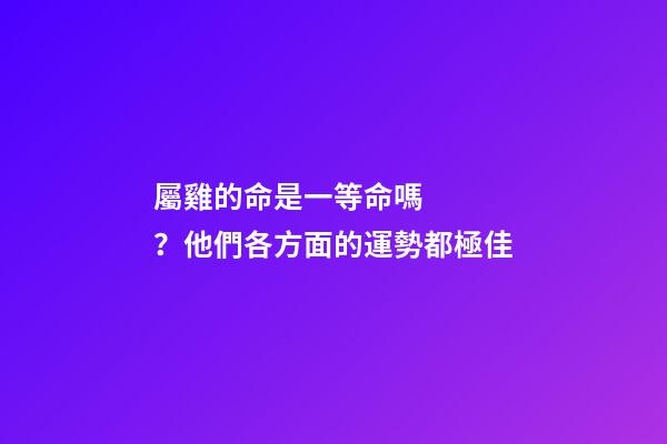 屬雞的命是一等命嗎？他們各方面的運勢都極佳